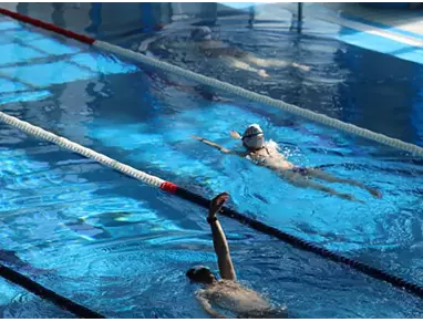 Piscina - palau de gel (4).webp